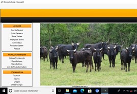 logiciel elevage de Bovins