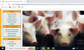Logiciel de gestion en ligne de elevage de Porcs